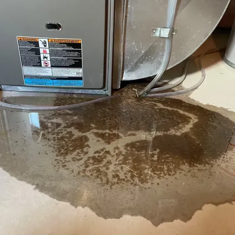 Appliance Leak Cleanup in Denton County, TX